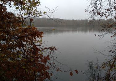 Tour Wandern Jouarre - Jouarre, étang de péreuse - Photo