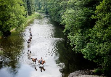 Randonnée Randonnée équestre Bertrix - BERTRIX FB : Chevaux et attelage sur les traces de la route de Madame d'Artagnan - Photo