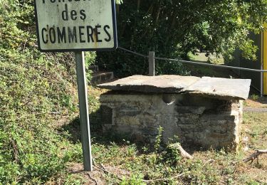 Percorso Marcia Sion-les-Mines - 08.09.2019 - SION LES MINES - Photo