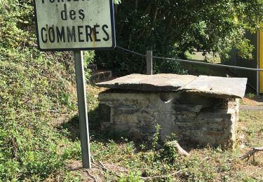 Tocht Stappen Sion-les-Mines - 08.09.2019 - SION LES MINES - Photo