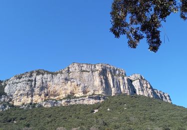 Randonnée Marche Valflaunès - l'Hortus crêtes  - Photo