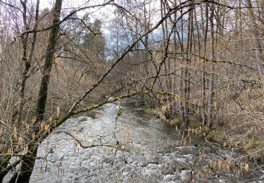 Randonnée Marche Couvin - Presgaux - Photo