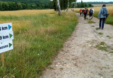 Tour Wandern Fère-en-Tardenois - Fère-en-Tardenois - les Foulées des Bruyères du 26-06-2022 - Photo