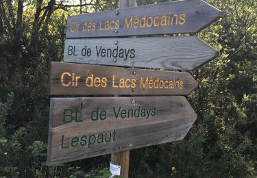 Randonnée Marche Vendays-Montalivet - 05-05-2019- 5 jour. 30,2km - Photo