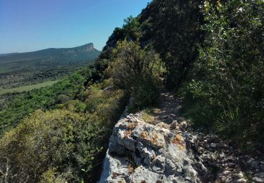 Tour Wandern Cazevieille - Cazevieille lac de la Jasse - Photo