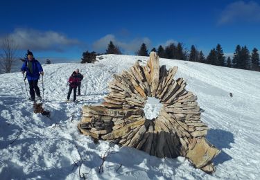 Randonnée Raquettes à neige Corrençon-en-Vercors - Château  Julien en circuit partiel - Photo