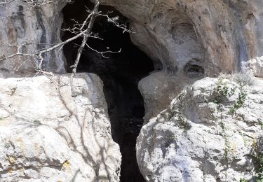 Trail Walking Mazaugues - Boucle Mazaugues - Photo