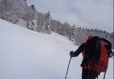 Trail Snowshoes Saint-Agnan-en-Vercors - chemin des feuilles depart stade  neiege   raphael poiret  la trompe - Photo