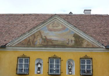 Excursión A pie Gemeinde Dürnstein - Loibner Holzweg zur Kreuzung Hengelwand (blau) - Photo