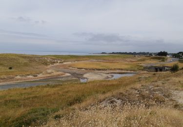 Randonnée Marche Trégunc - Boucle depuis la pointe de Trevignon - Photo