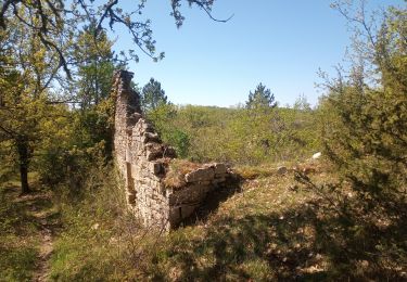 Tour Wandern Maxou - Bois des Carrières_Le Lac-Blanc 5 km - Photo