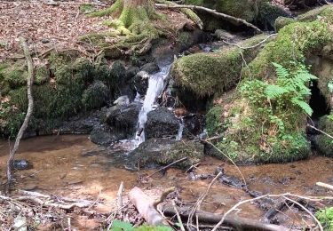 Percorso Marcia Besse-et-Saint-Anastaise - BESSE - LAC PAVIN EN BOUCLE - Photo
