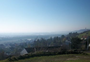 Tour Wandern Sotteville-sous-le-Val - 2023S214-Sotteville sous le Val - Photo