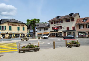 Tocht Fietstoerisme Mijoux - LES ROUSSES - COL DE LA FAUCILLE  - Photo