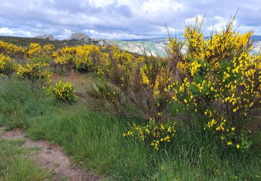 Tocht Stappen Rosis - Caroux - Photo