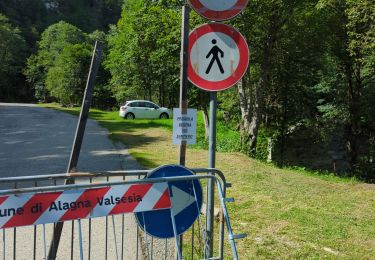 Trail Walking Alagna Valsesia - Alvania - Alpe Maller - Photo