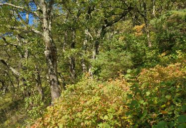 Tour Wandern La Bégude-de-Mazenc - La Bégude-de -Mazenc Combe jallet 13km. - Photo