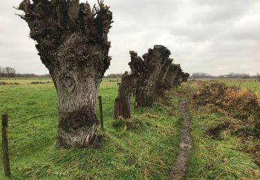 Trail Walking Ghent - Langs Schelde en E17 - Photo
