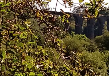 Tour Wandern Saint-Brieuc - Douvenant-Gréves des courses - Photo