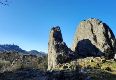 Excursión Senderismo Chantemerle-lès-Grignan - Chantemerle Clansayes 15km - Photo