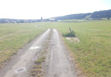 Tocht Stappen La Cluse-et-Mijoux - la chapelle - les fours  - Photo