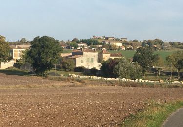 Trail Walking Fouquebrune - Fouquebrune (rando de la Motte) - Photo