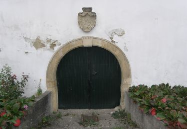 Percorso A piedi Gemeinde Poysdorf - Föllimer Weg - Photo