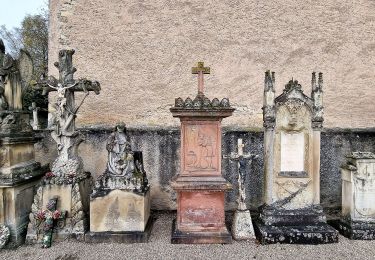 Excursión A pie Grevenmacher - FB Grevenmacher I - Photo