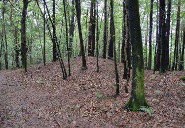 Tocht Te voet Großklein - Fürstengräberweg - Photo