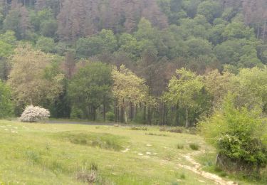 Percorso Marcia Urrugne - Sentier des mulets - Photo