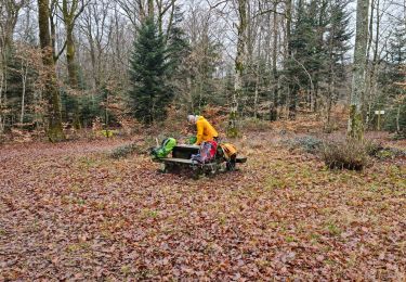 Randonnée Marche Burnhaupt-le-Haut - Rando du 09/02/2024 par Alain...Pont d'Aspach - Photo