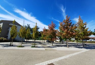 Excursión Senderismo Grézieu-la-Varenne - Grezieu la varenne à ste Consorce - Photo