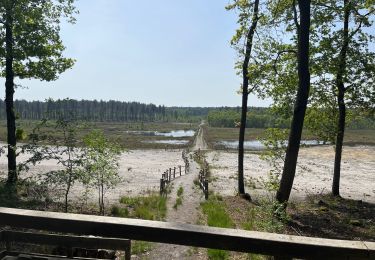 Tour sport Houthalen-Helchteren - De vijvers - Photo