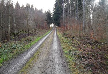 Tocht Te voet Rudolfstetten-Friedlisberg - Friedlisberg - Hafnerberg - Photo