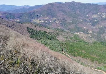 Excursión Senderismo La Cadière-et-Cambo - Cadières - Cambo - Montagne de La Fage - Photo