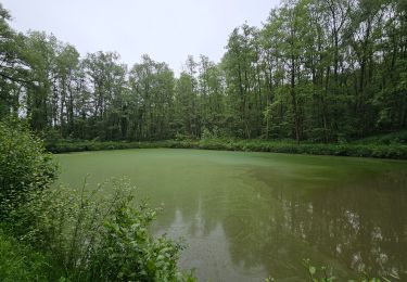 Randonnée Marche Gembloux - Balade de Gembloux à Corroy-le-Château - Photo