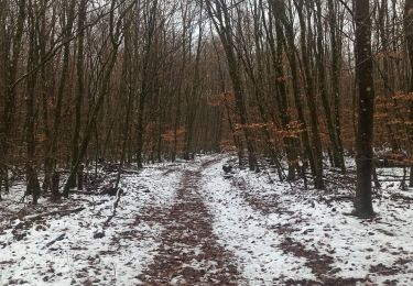 Tocht Noords wandelen Habscht - Grillplaz - Photo