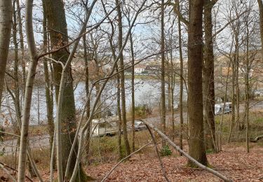 Tour Mountainbike Clamart - Le bois de clamart à VTT - Photo