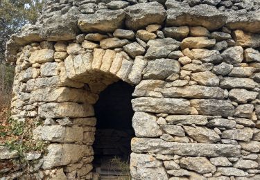 Excursión Senderismo Buoux - Seguins-Sivergues 18.3.23 - Photo