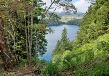 Trail Walking Besse-et-Saint-Anastaise - SUPER BESSE . LAC PARVIN. LAC DE MONTPINEYRR - Photo