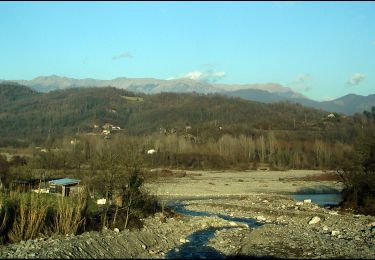 Percorso A piedi Lucca - Variante Sud Via Francigena - Photo