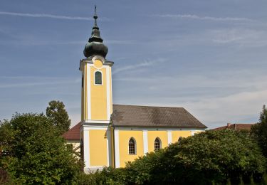 Excursión A pie Göpfritz an der Wild - Kräuterweg 43 - Photo