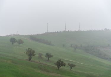 Tour Zu Fuß Scandiano - Anello di Ca' de Caroli - Photo