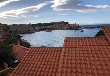 Percorso Marcia Banyuls-sur-Mer - Banyuls port a Collioure - Photo