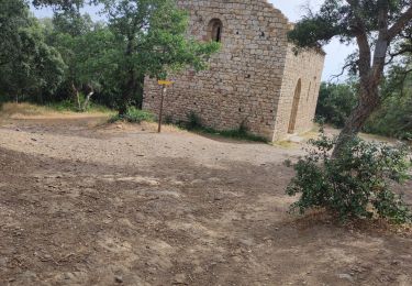 Tour Elektrofahrrad Argelès-sur-Mer - Argelès sur Mer  - Photo