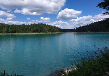 Randonnée Marche  - lac Noir en famille - Photo