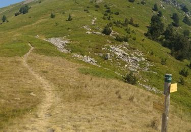 Tour Wandern La Valette - le piquet de Nantes - Photo