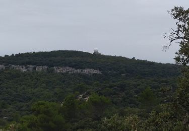 Tour Wandern Saint-Paul-Trois-Châteaux - Festi rando St Paul Trois Châteaux  - Photo