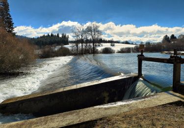 Tocht Te voet Oye-et-Pallet - Les Grands Communaux - Photo