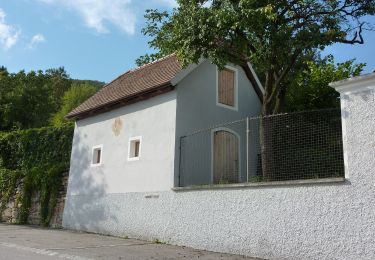 Tocht Te voet Aggsbach - Welterbesteig Wachau Etappe 7 - Photo